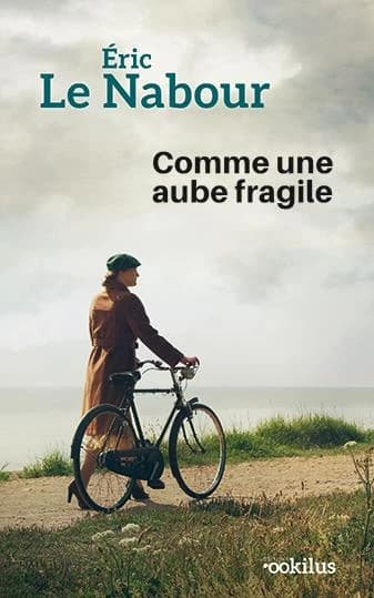 Comme une aube fragile : roman ([Éd. en gros caractères]) Éric Le Nabour