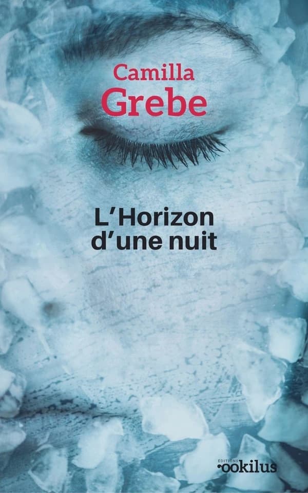 L'horizon d'une nuit ([Éd. en gros caractères]) Camilla Grebe ; traduit du suédois par Anna Postel