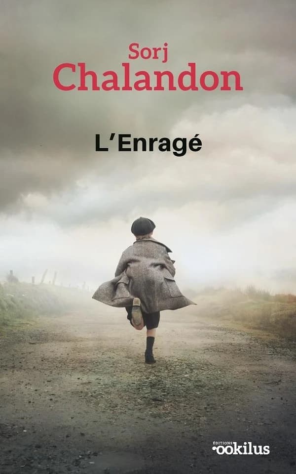 L'enragé : roman ([Éd. en grands caractères]) Sorj Chalandon