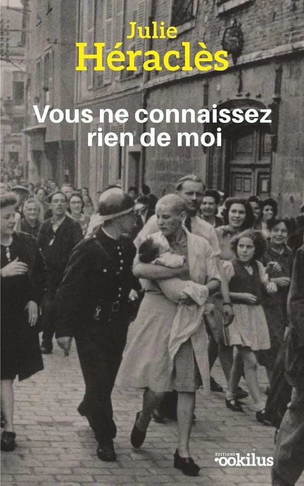 Vous ne connaissez rien de moi : roman ([Éd. en gros caractères]) Julie Héraclès