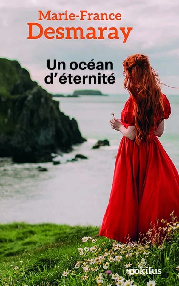 Un océan d'éternité : roman ([Éd. en gros caractères]) Marie-France Desmaray