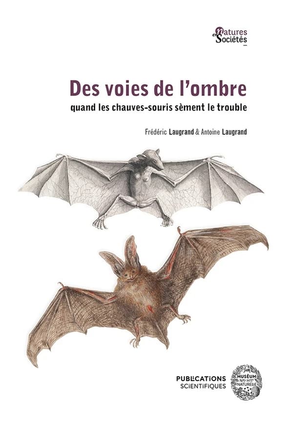 Des voies de l'ombre : quand les chauves-souris sèment le trouble