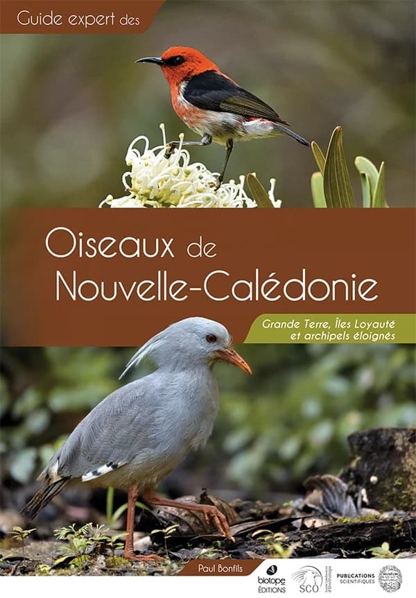 Oiseaux de Nouvelle-Calédonie : Grande Terre, îles Loyauté et archipels éloignés