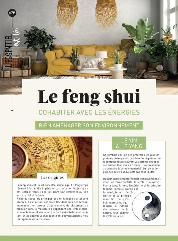 Le feng shui : cohabiter avec les énergies ; bien aménager son environnement