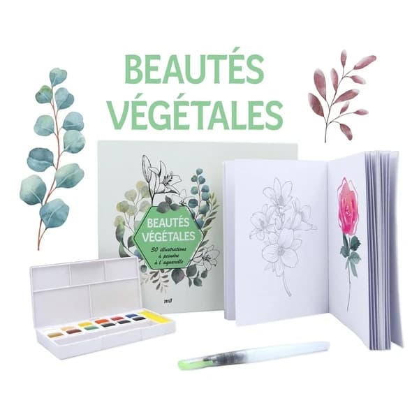 Coffret beautés végétales : 30 illustrations à peindre à l'aquarelle ; Un carnet avec des feuilles détachables