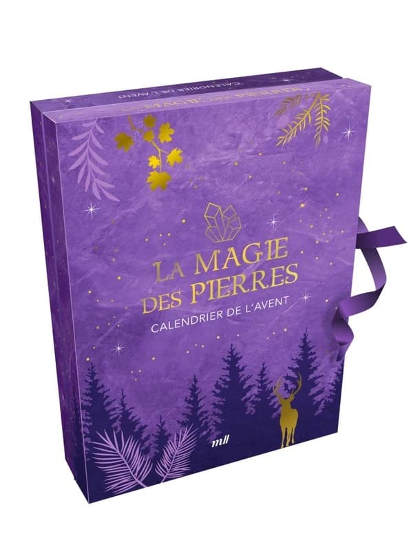 Calendrier de l'Avent : La Magie des pierres ; 22 pierres naturelles et des cadeaux surprises pour attendre Noël
