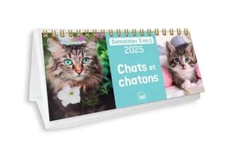 Semainier 3 en 1 : Chats et chatons