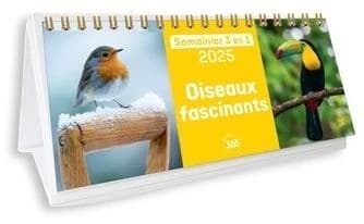 Semainier 3 en 1 Oiseaux fascinants