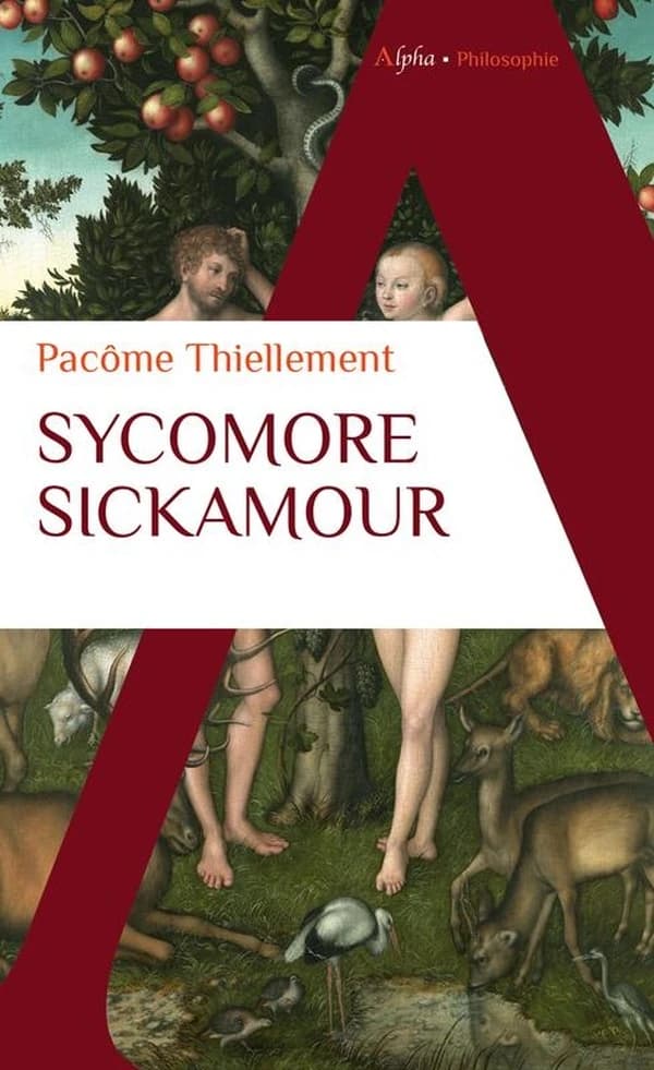 Sycomore sickamour