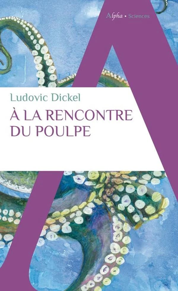 À la rencontre du poulpe