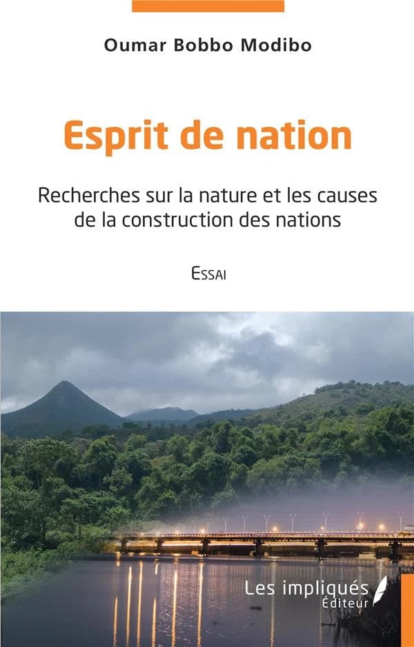 Esprit de nation : recherches sur la nature et les causes de la construction des nations