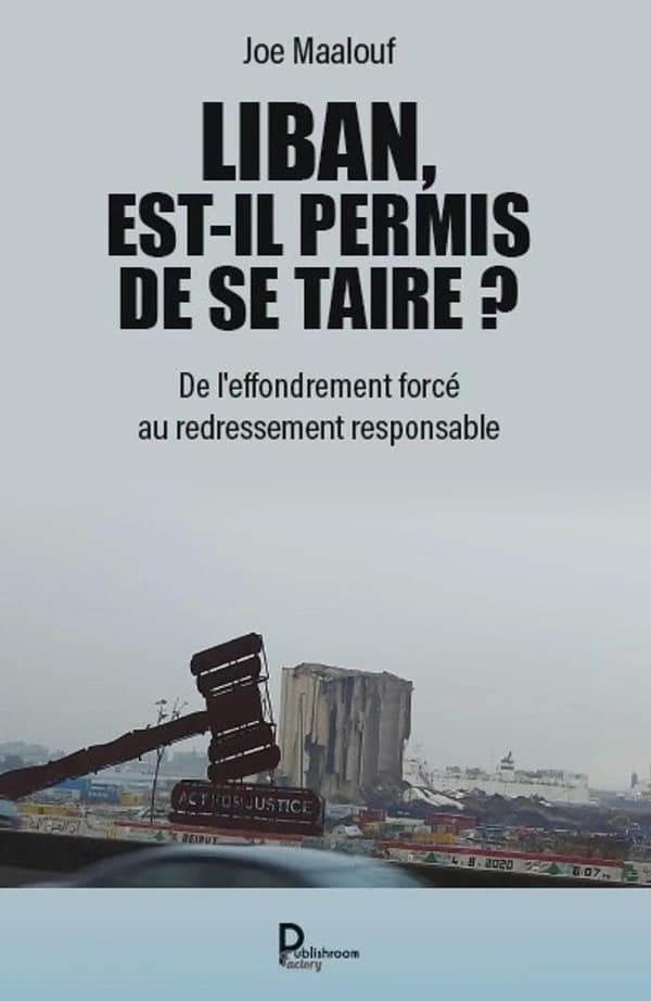 Liban, est-il permis de se taire ? : De l'effondrement forcé au redressement responsable