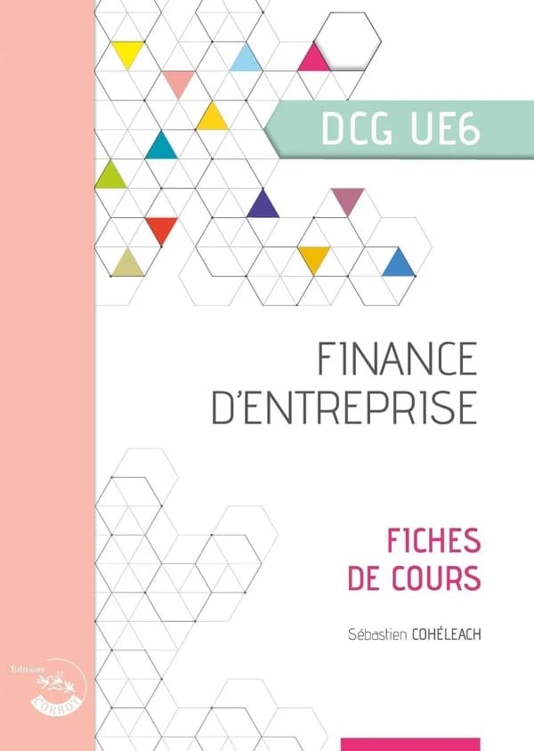 Finance d'entreprise : diplôme de comptabilité et de gestion, UE 6 : fiches de cours (Éd. 2025-2026, conforme [au] PCG 2025) Sébastien Cohéléach,...