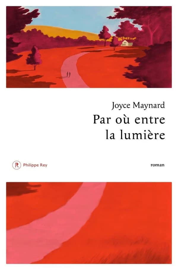 Par où entre la lumière : roman