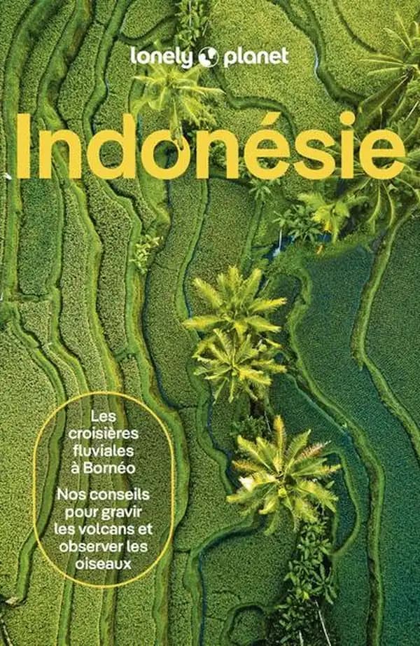 Indonésie (8e éd.) Jayne D'Arcy, David Eimer, Paul Harding... [et al.]