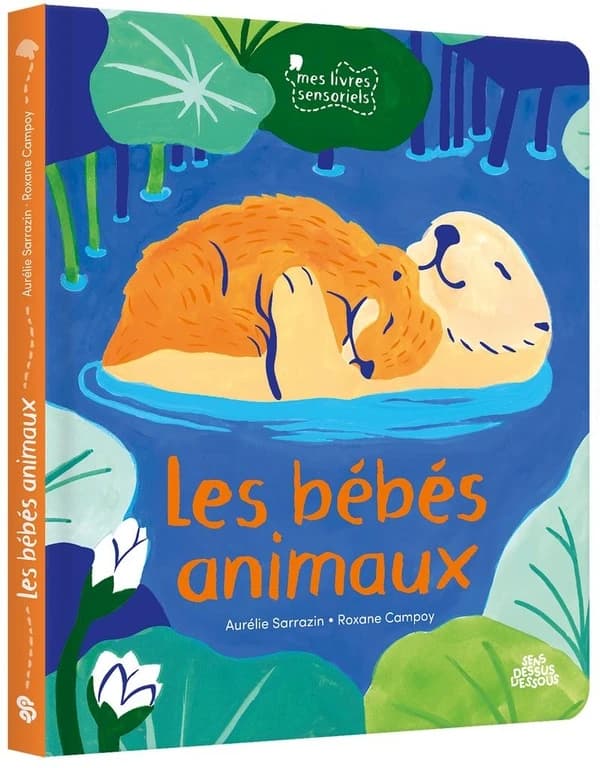 Bébés animaux