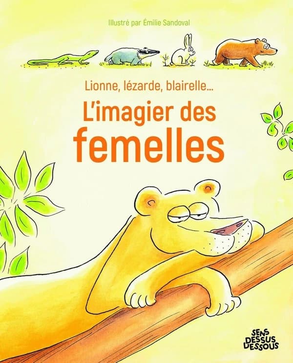L'imagier des femelles : lionne, lézarde, blairelle