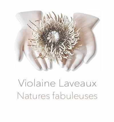 Violaine Laveaux, Natures fabuleuses : [exposition, Gaillac, Musée des beaux-arts, Musée d'histoire naturelle, 5 juillet-30 novembre 2025