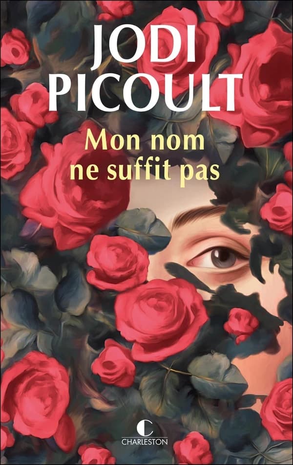 Mon nom ne suffit pas : roman