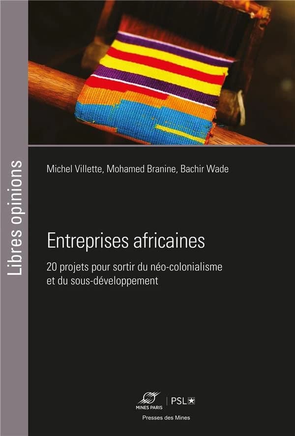 Entreprises africaines : vingt projets pour sortir du néo-colonialisme et du sous-développement