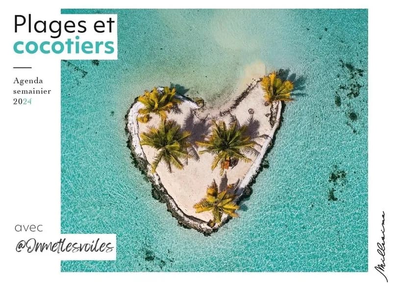 Agenda semainier : Plage et cocotiers (édition 2024)