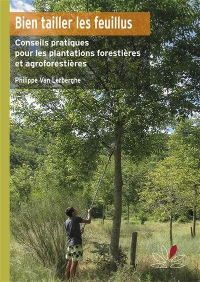 Bien tailler les feuillus : Conseils pratiques pour les plantations forestières