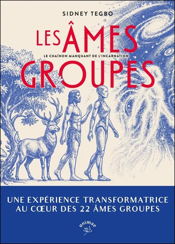 Les âmes groupes : le chaînon manquant de l'incarnation