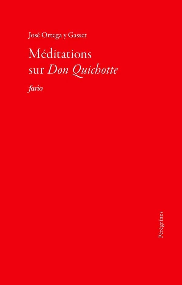Méditations sur Don Quichotte