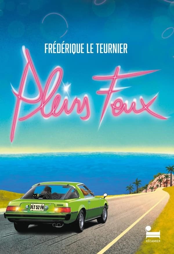Pleins feux : roman