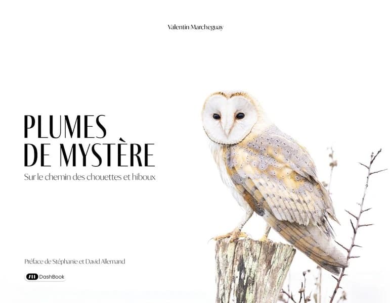 Plumes de mystère : sur le chemin des chouettes et hiboux
