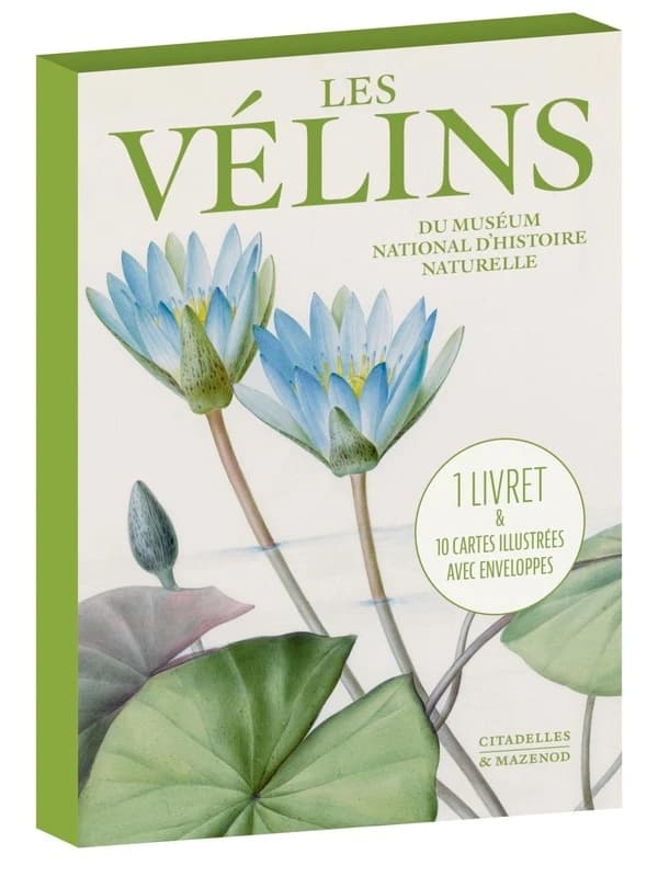 Les vélins du Muséum national d'Histoire naturelle : 1 livret & 10 cartes illustrées avec enveloppes