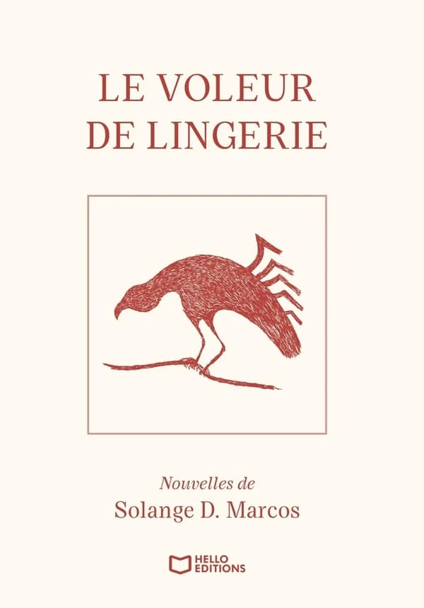 Le Voleur de Lingerie