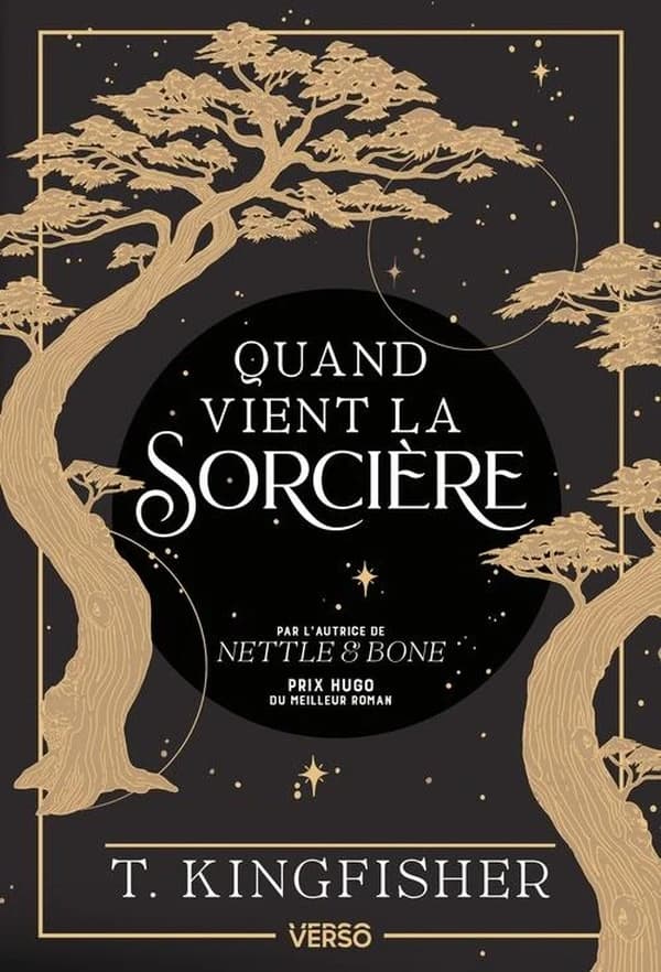 Quand vient la sorcière : roman