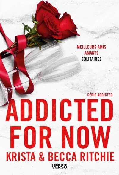Addicted for now : roman