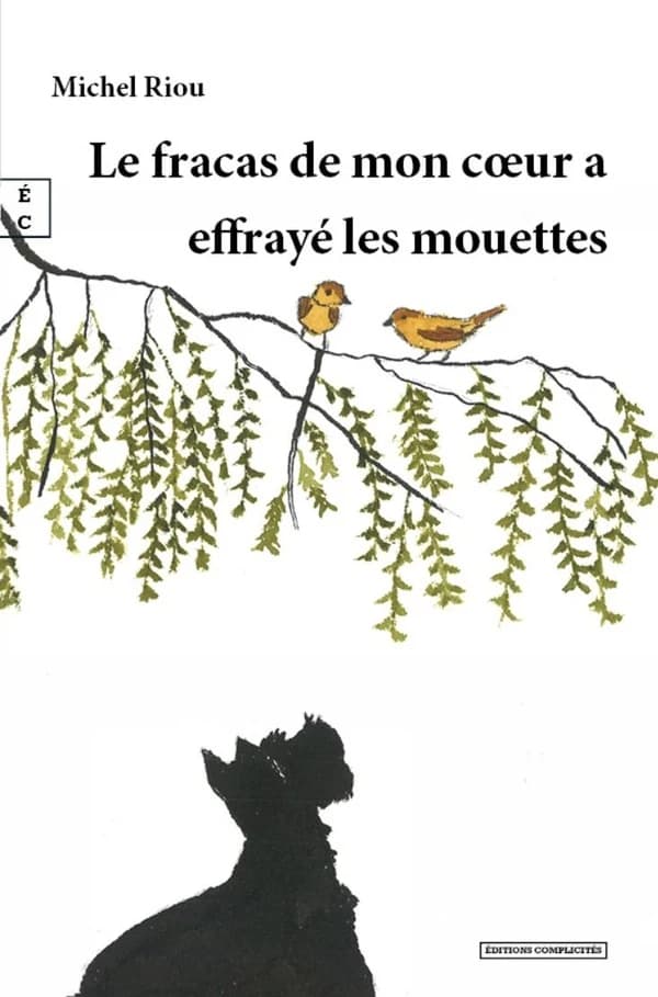 Le fracas de mon coeur a effrayé les mouettes : roman