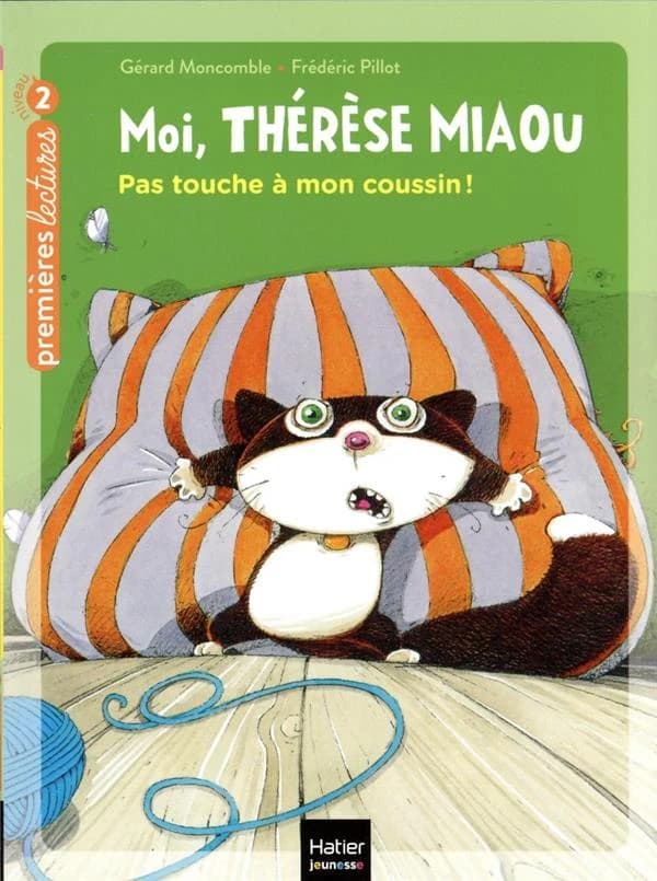 Pas touche à mon coussin !