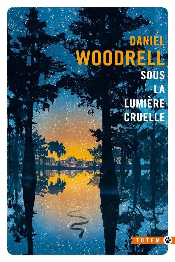 Sous la lumière cruelle : roman