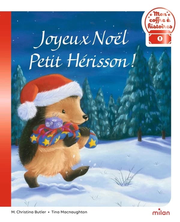 Joyeux Noël Petit hérisson !