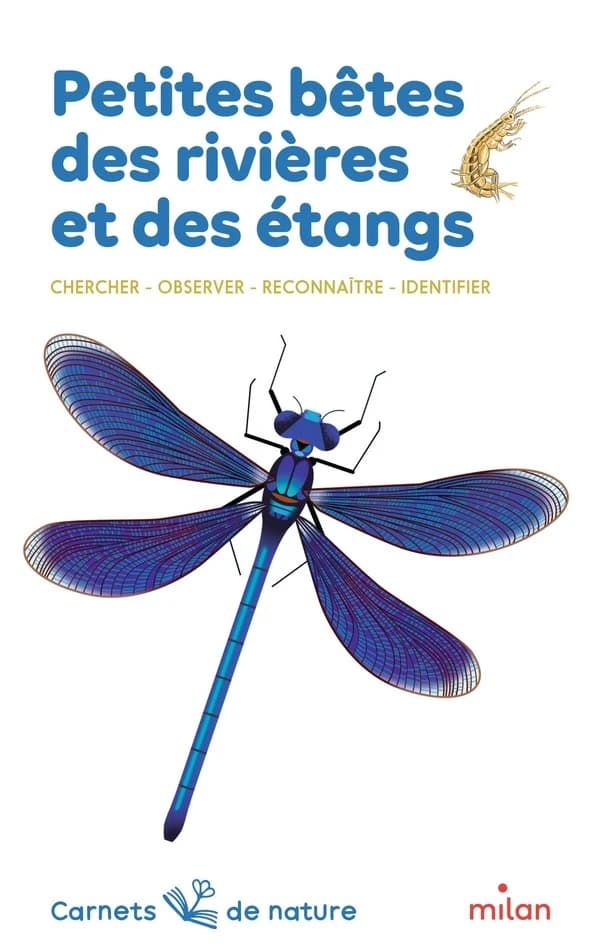 Petites bêtes des rivières et des étangs : chercher, observer, reconnaître, identifier ([Nouvelle éd.]) textes de Léon Rogez ; illustrations d'Anne Eydoux et de Lucie Brunellière, couverture...