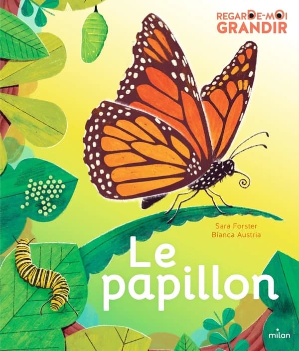 Le papillon : regarde-moi grandir