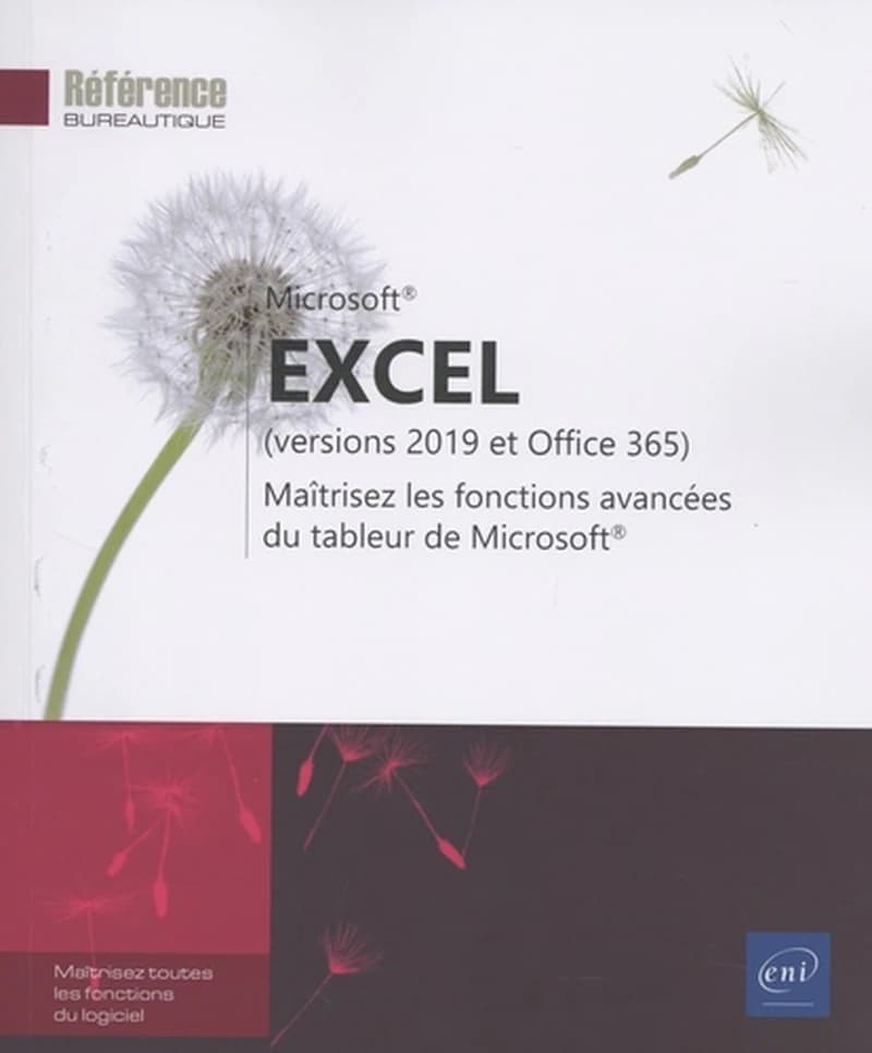 Excel : version 2019 et office 365 : maîtrisez les fonctions avancées du tableur de Microsoft