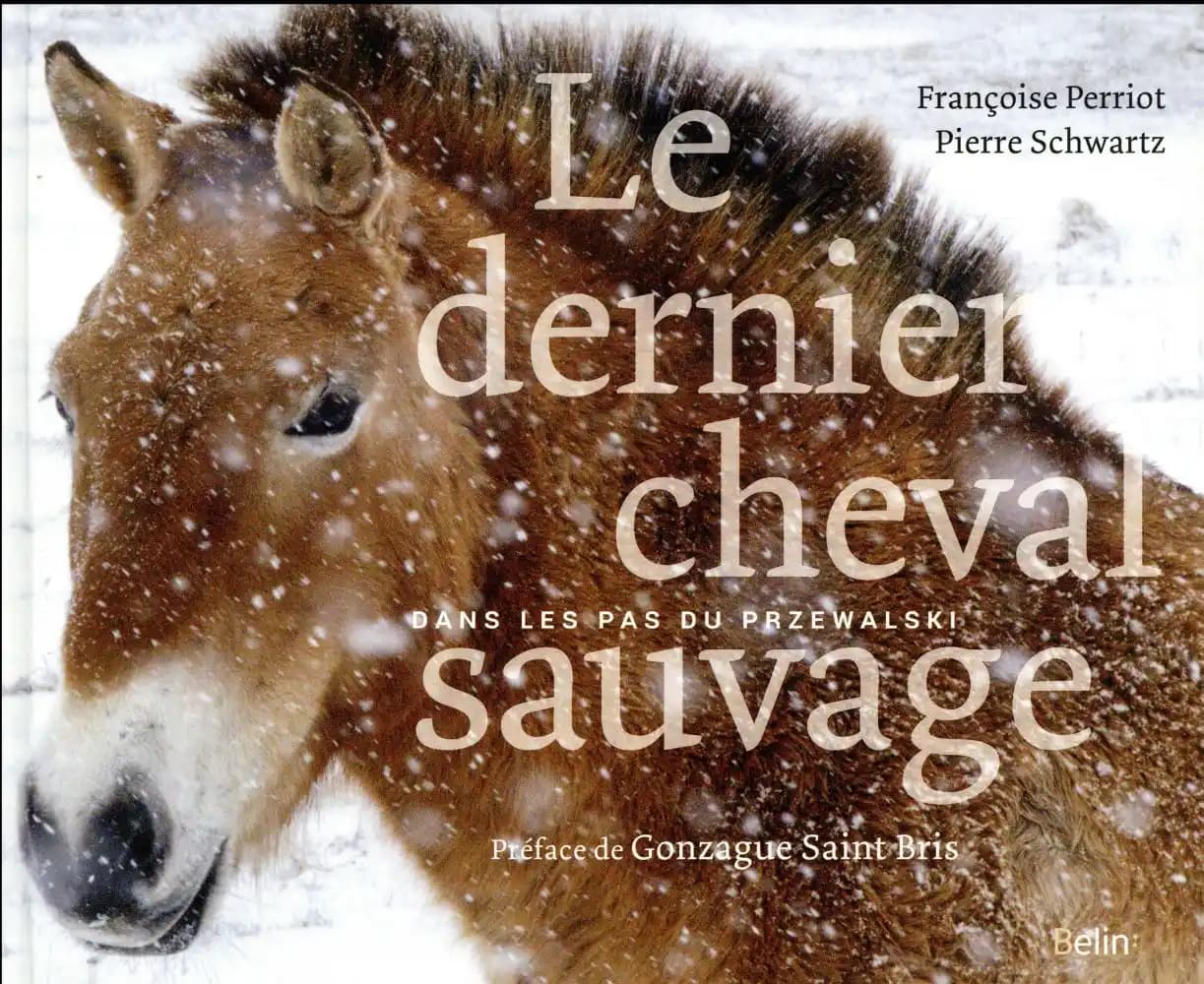 Le dernier cheval sauvage : dans les pas du Przewalski