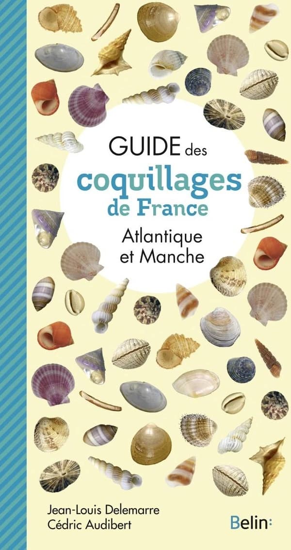 Guide des coquillages de France : Atlantique et Manche ([Nouvelle éd.]) Jean-Louis Delemarre, Cédric Audibert