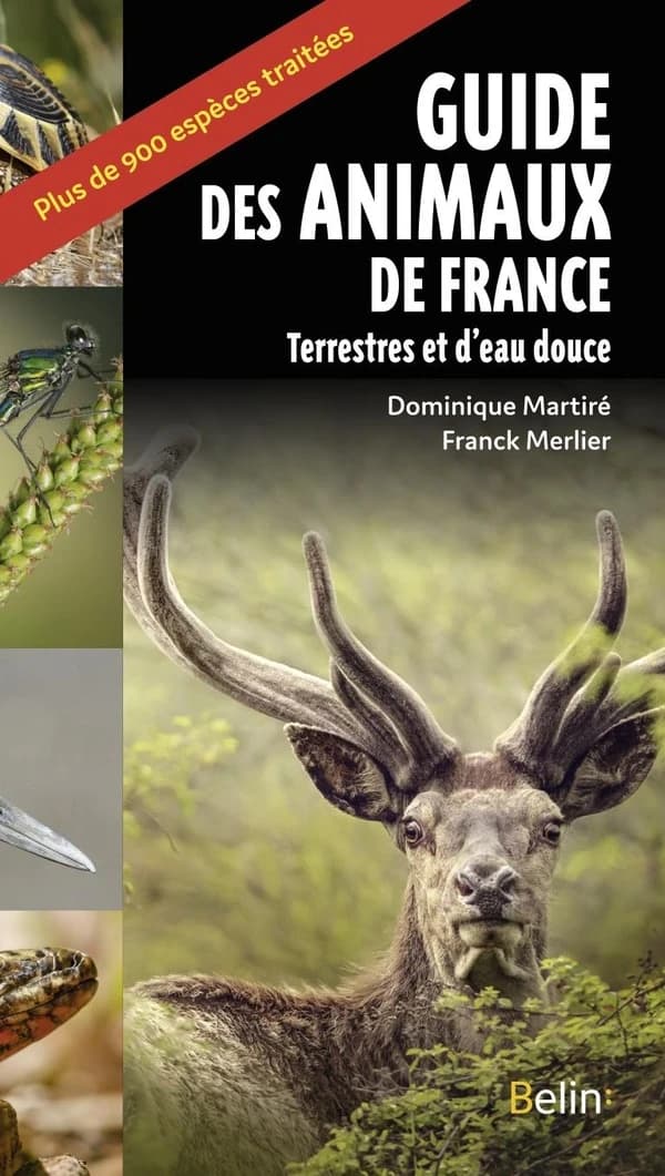 Guide des animaux de France : terrestres et d'eau douce