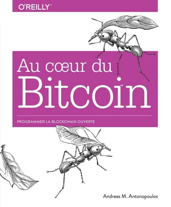 Au coeur du bitcoin : [programmer la blockchain]