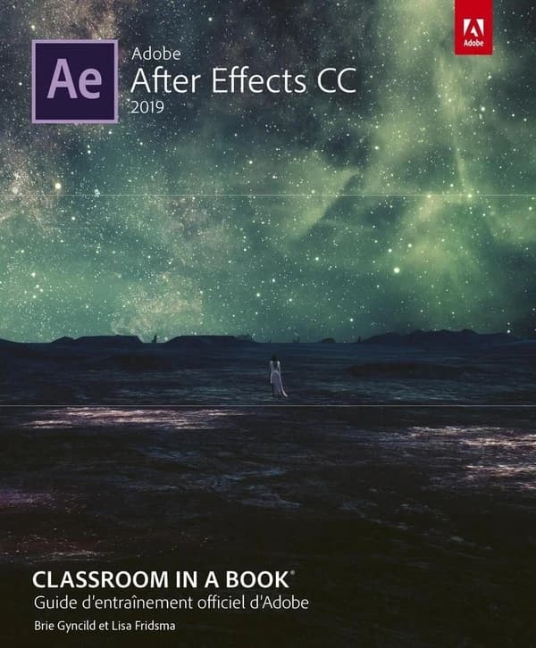 Adobe After Effects CC : guide d'entraînement officiel d'Adobe ([Éd.] 2019) Brie Gyncild et Lisa Fridsma