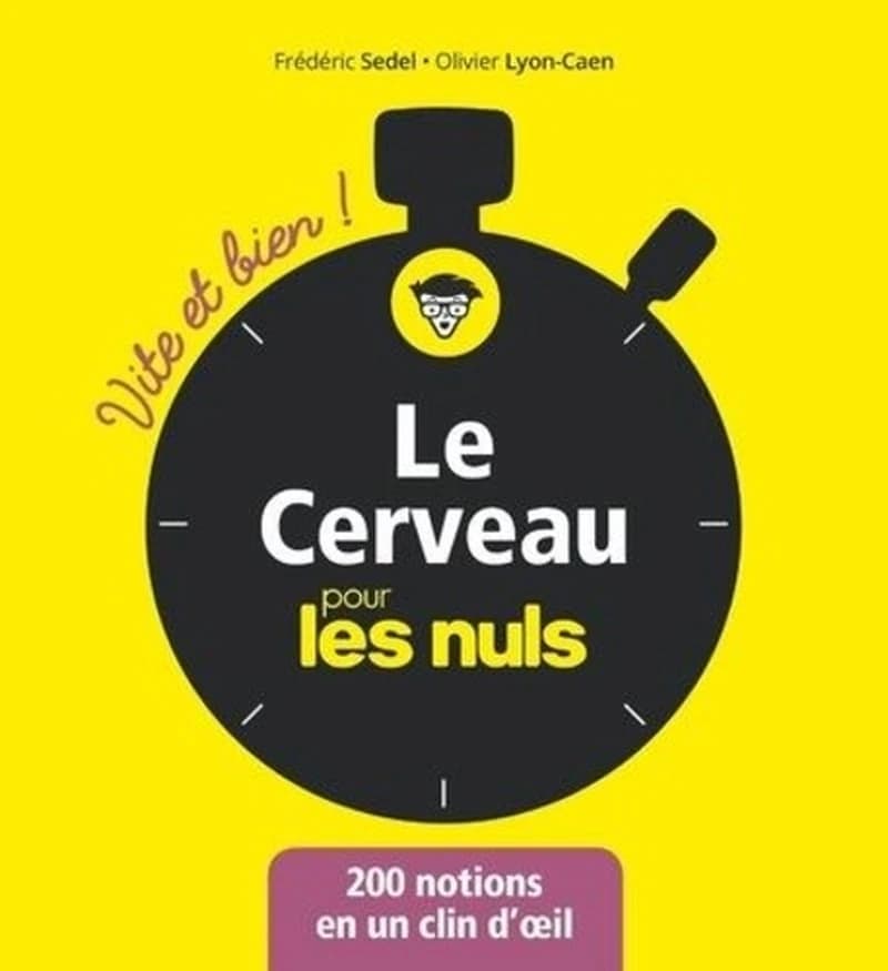 Le cerveau pour les nuls