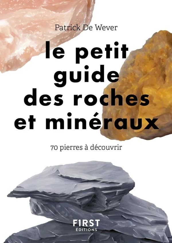 Le petit guide des roches et minéraux : 70 roches à découvrir