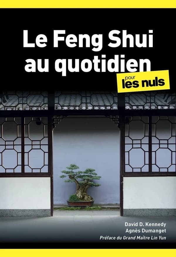 Le feng shui au quotidien pour les nuls (2 éd.) David D. Kennedy,... ; Agnès Dumanget pour l'adaptation française