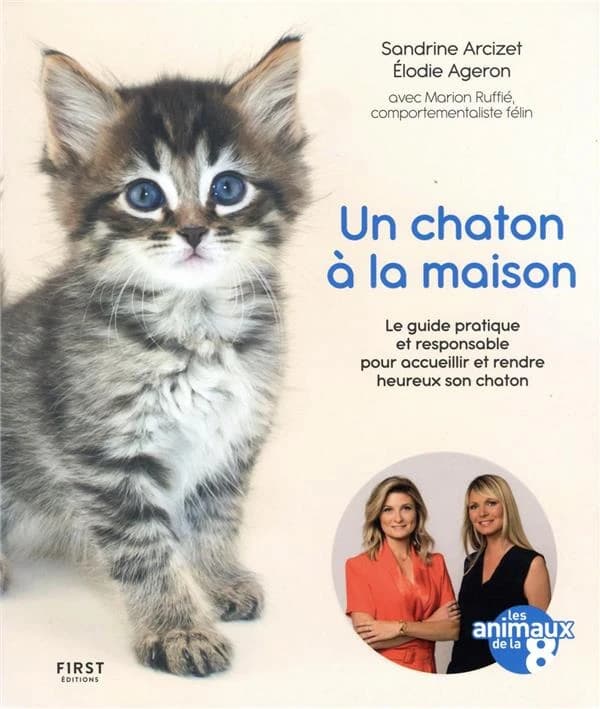 Un chaton à la maison : le guide pratique et responsable pour accueillir et rendre heureux son chaton